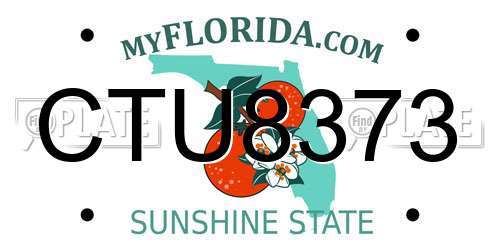 CTU8373 Florida License Plate