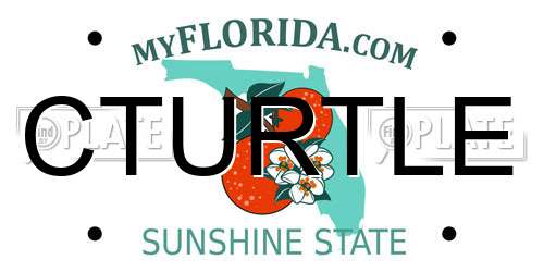 CTURTLE Florida License Plate