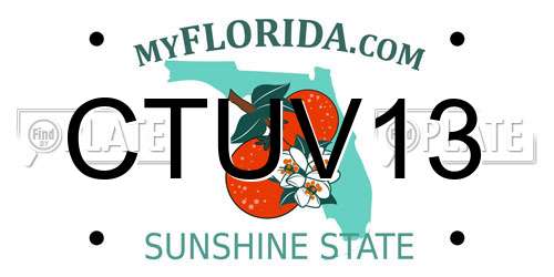 CTUV13 Florida License Plate