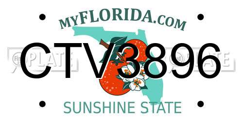 CTV3896 Florida License Plate