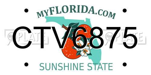CTV6875 Florida License Plate