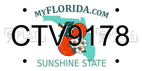 CTV9178 Florida License Plate