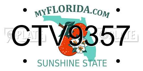 CTV9357 Florida License Plate