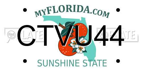 CTVU44 Florida License Plate