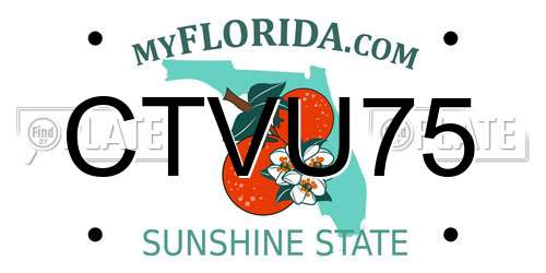 CTVU75 Florida License Plate