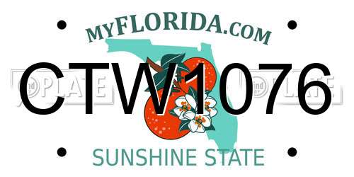 CTW1076 Florida License Plate
