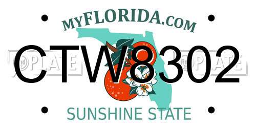CTW8302 Florida License Plate
