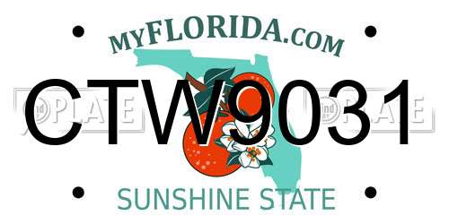 CTW9031 Florida License Plate