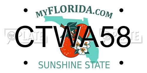 CTWA58 Florida License Plate