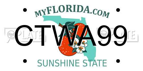 CTWA99 Florida License Plate