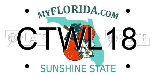 CTWL18 Florida License Plate