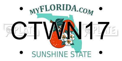 CTWN17 Florida License Plate