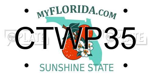 CTWP35 Florida License Plate