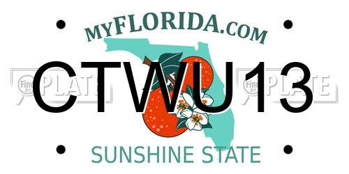 CTWU13 Florida License Plate