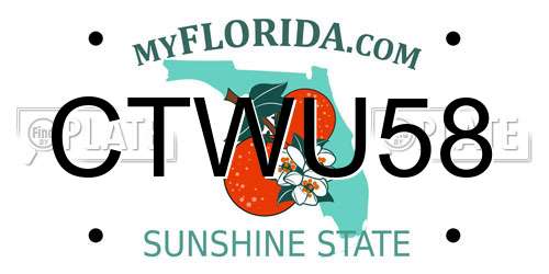 CTWU58 Florida License Plate