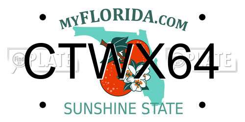 CTWX64 Florida License Plate