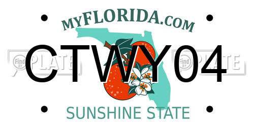CTWY04 Florida License Plate