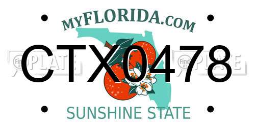 CTX0478 Florida License Plate