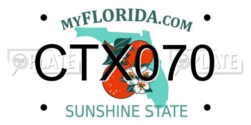 CTX070 Florida License Plate