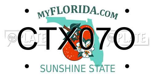 CTX07O Florida License Plate