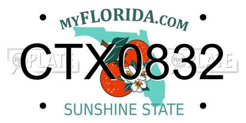 CTX0832 Florida License Plate