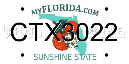 CTX3022 Florida License Plate