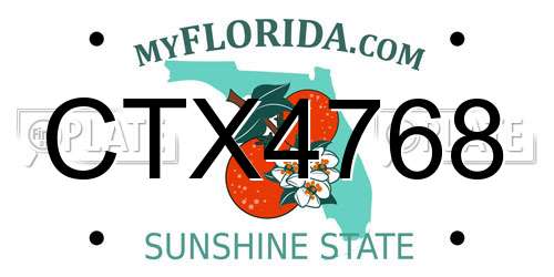 CTX4768 Florida License Plate