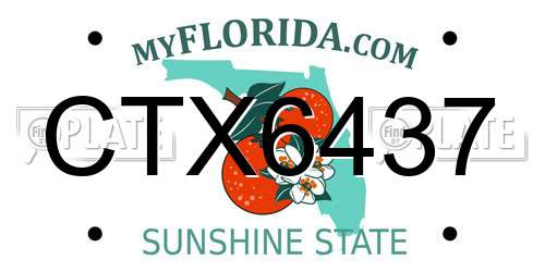 CTX6437 Florida License Plate
