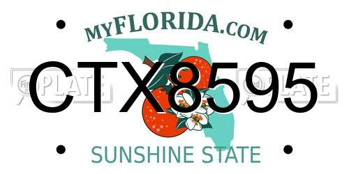 CTX8595 Florida License Plate