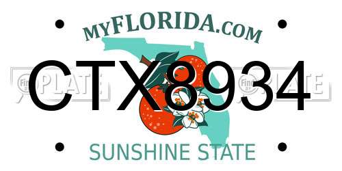 CTX8934 Florida License Plate