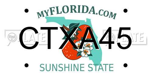 CTXA45 Florida License Plate