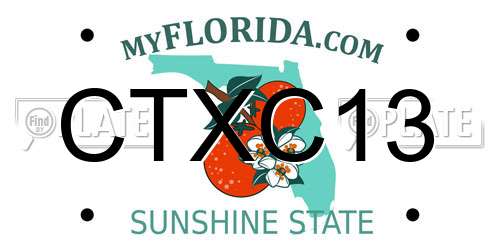 CTXC13 Florida License Plate
