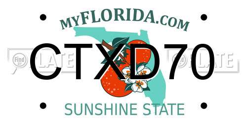 CTXD70 Florida License Plate