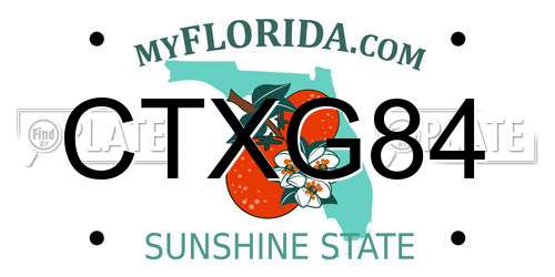 CTXG84 Florida License Plate