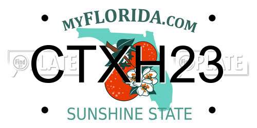 CTXH23 Florida License Plate