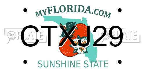 CTXJ29 Florida License Plate