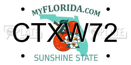 CTXW72 Florida License Plate