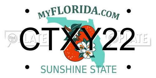 CTXY22 Florida License Plate