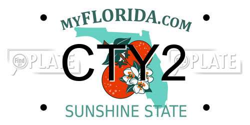 CTY2 Florida License Plate
