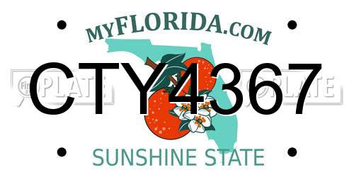 CTY4367 Florida License Plate