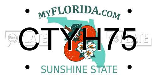 CTYH75 Florida License Plate