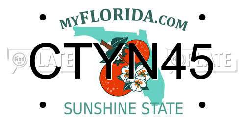 CTYN45 Florida License Plate
