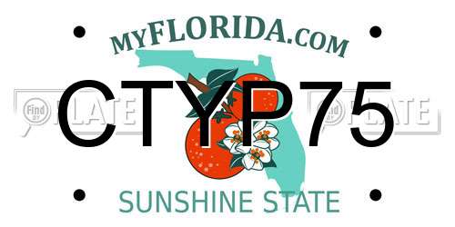 CTYP75 Florida License Plate