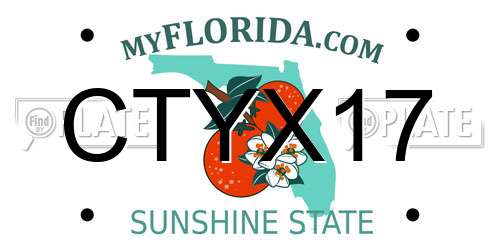CTYX17 Florida License Plate