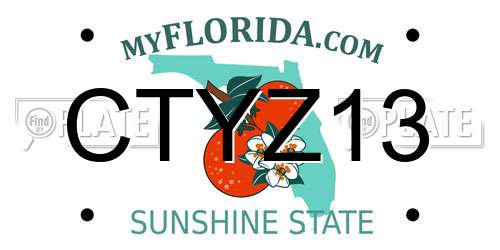CTYZ13 Florida License Plate