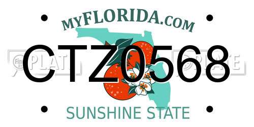 CTZ0568 Florida License Plate
