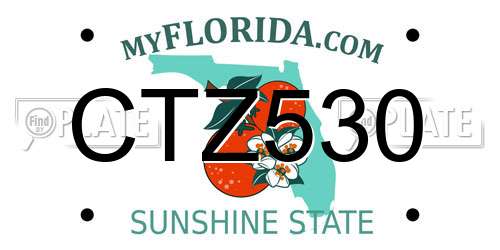 CTZ530 Florida License Plate