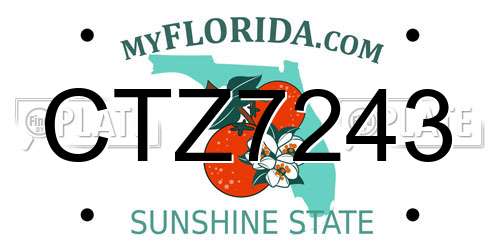 CTZ7243 Florida License Plate