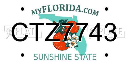 CTZ7743 Florida License Plate