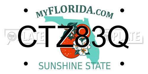CTZ83Q Florida License Plate